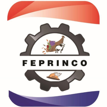 FEPRINCO solicita protección de la industria y producción